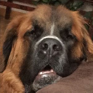 Meet your Posher, Stacey